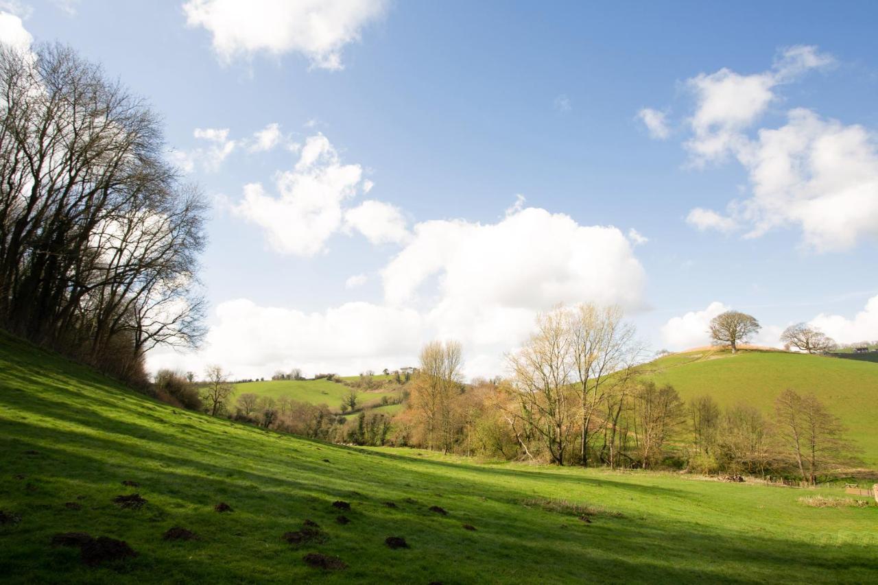 On The Brook Villa Bruton Exterior foto